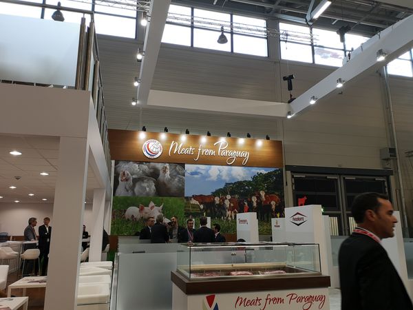 KZERO cautiva al mundo con pollos paraguayos - Pollpar