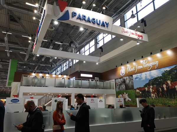 KZERO cautiva al mundo con pollos paraguayos - Pollpar